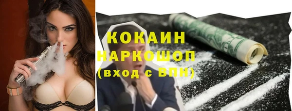 гашик Алексеевка