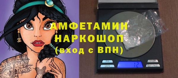 гашик Алексеевка